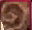 rocsk.png
